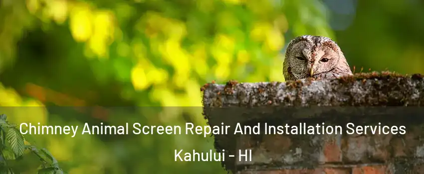  Chimney Animal Screen Repair And Installation Services Kahului - HI