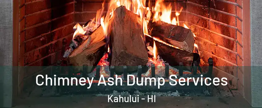  Chimney Ash Dump Services Kahului - HI