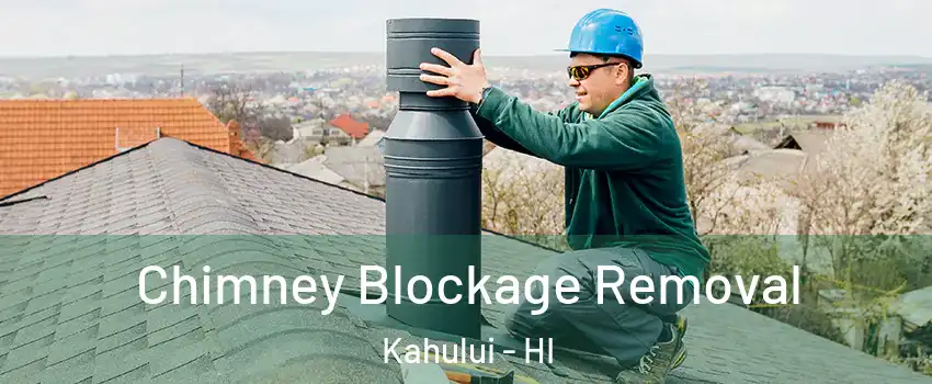  Chimney Blockage Removal Kahului - HI