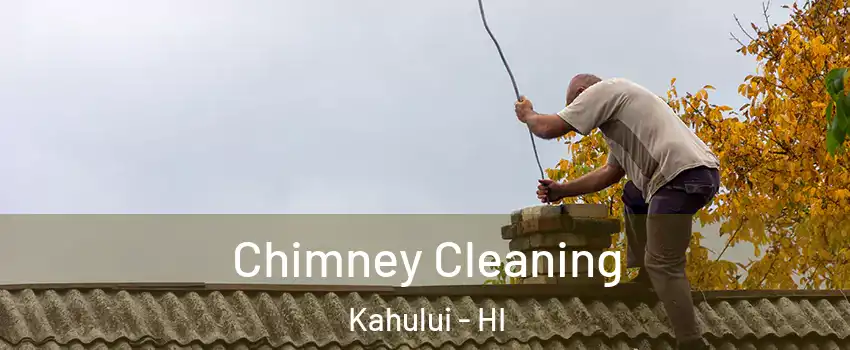  Chimney Cleaning Kahului - HI