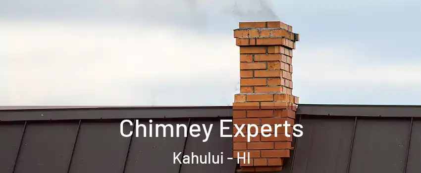 Chimney Experts Kahului - HI