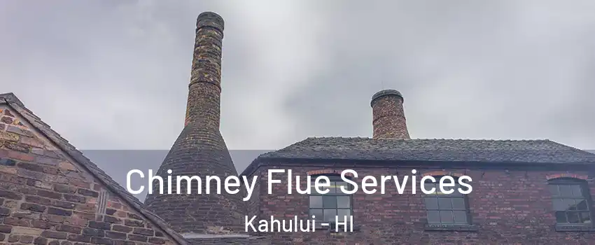  Chimney Flue Services Kahului - HI
