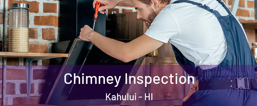  Chimney Inspection Kahului - HI