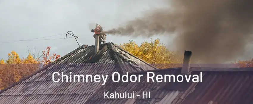  Chimney Odor Removal Kahului - HI