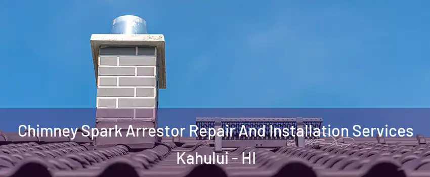  Chimney Spark Arrestor Repair And Installation Services Kahului - HI