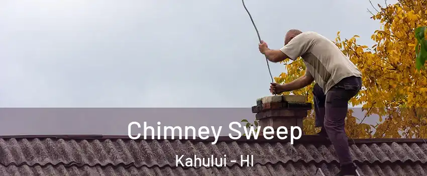  Chimney Sweep Kahului - HI
