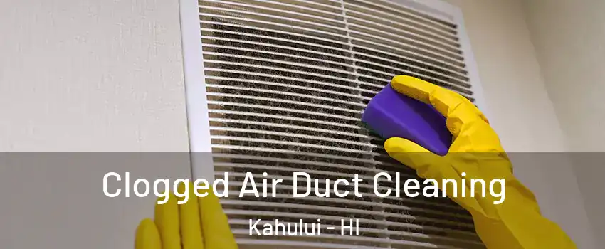 Clogged Air Duct Cleaning Kahului - HI