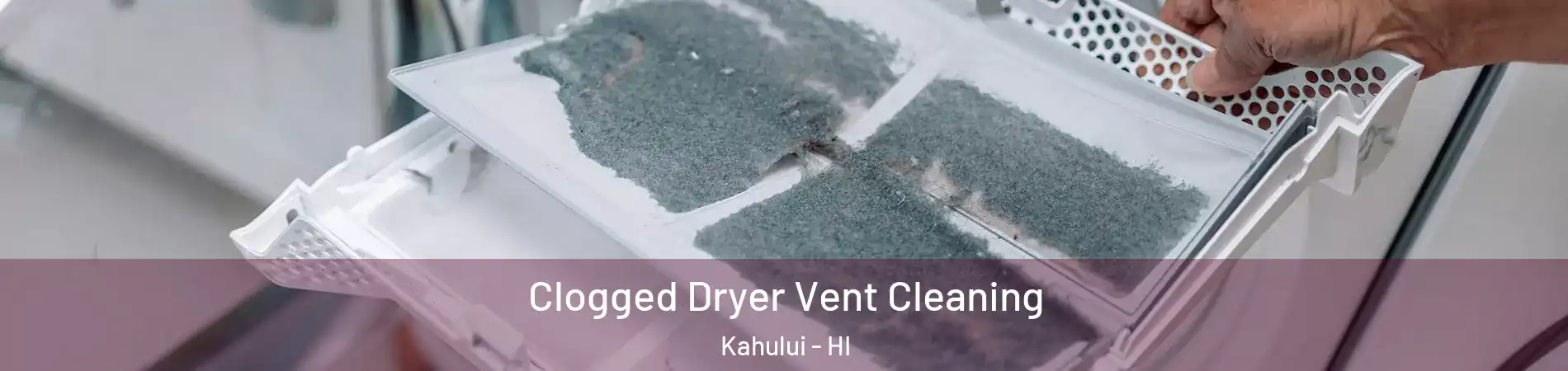  Clogged Dryer Vent Cleaning Kahului - HI