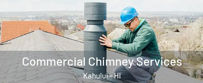  Commercial Chimney Services Kahului - HI