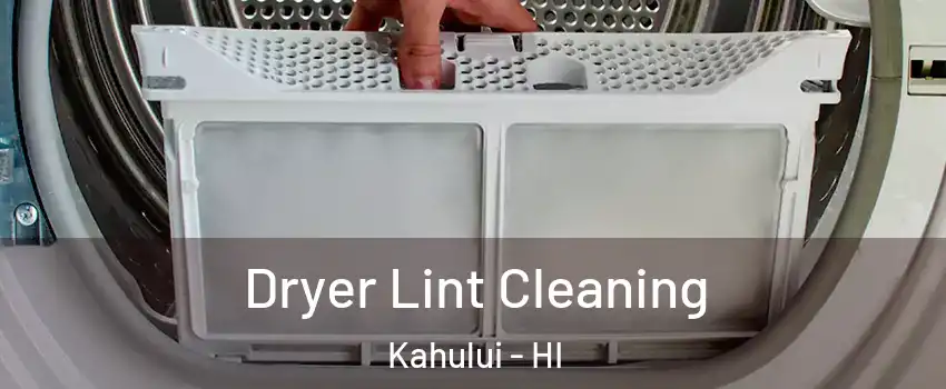 Dryer Lint Cleaning Kahului - HI