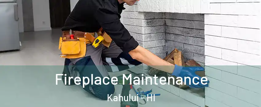  Fireplace Maintenance Kahului - HI