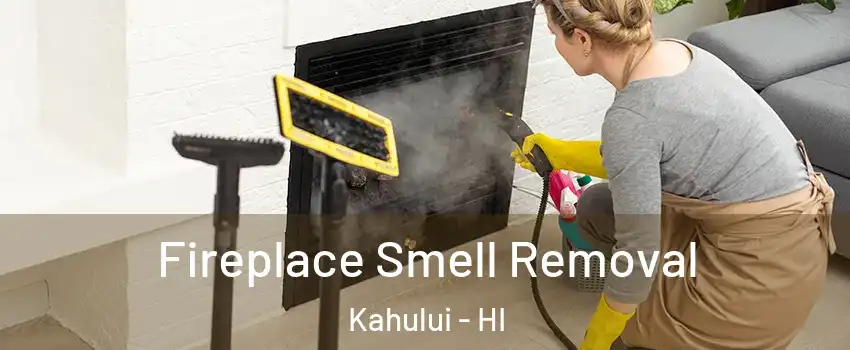  Fireplace Smell Removal Kahului - HI