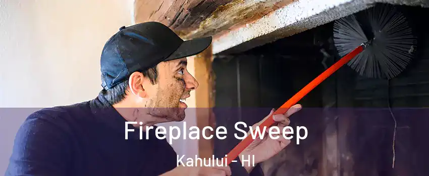  Fireplace Sweep Kahului - HI