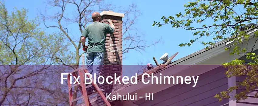  Fix Blocked Chimney Kahului - HI