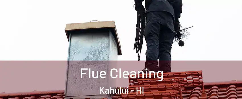  Flue Cleaning Kahului - HI