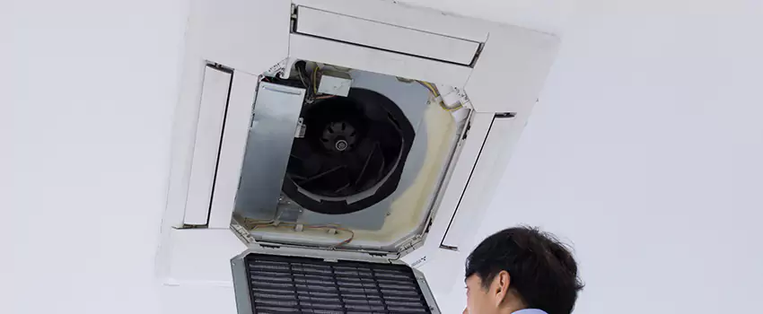 Benefits of Professional Air Duct Cleaning in Kahului, Hawaii