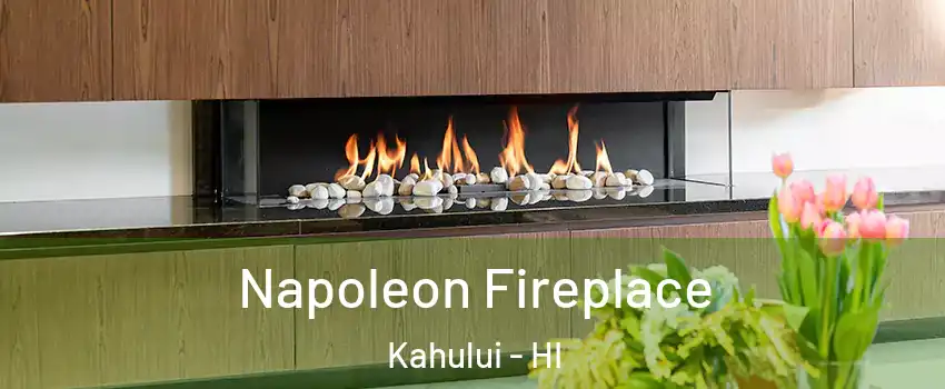  Napoleon Fireplace Kahului - HI