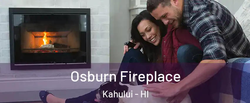  Osburn Fireplace Kahului - HI