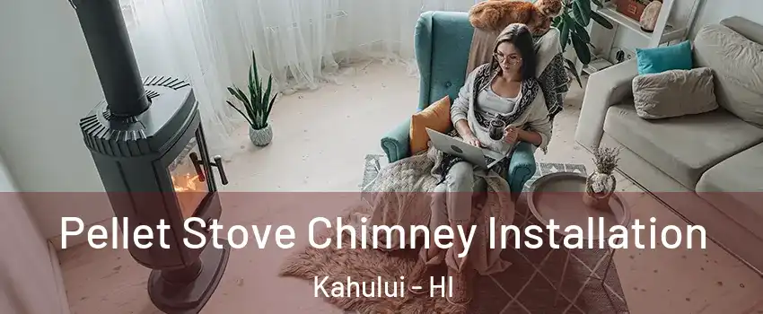  Pellet Stove Chimney Installation Kahului - HI