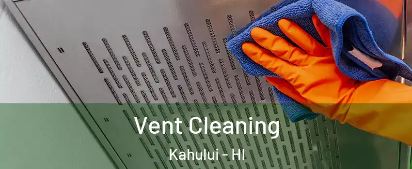 Vent Cleaning Kahului - HI