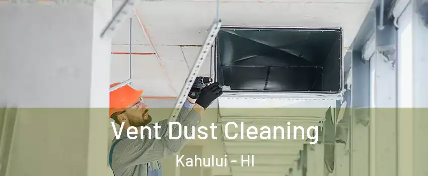  Vent Dust Cleaning Kahului - HI